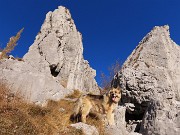 Monti POIETO e CORNAGERA  ad anello da Aviatico-Cantul-24  dicembre 2023 -  FOTOGALLERY